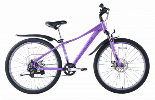 Велосипед TechTeam Katalina 29*16" (фиолетовый / purple)
