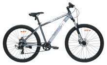 Велосипед TechTeam Sprint 29"х21 серый