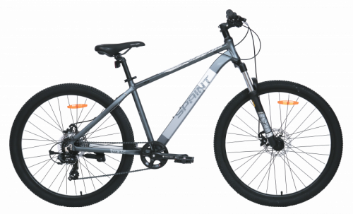Велосипед TechTeam Sprint 29"х21 серый